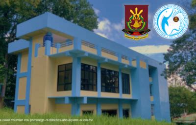 msumain.edu.ph|edu10 entrar.